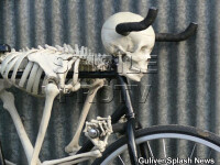 Ultimul trend in materie de biciclete! Ai achizitiona asa un exemplar?!