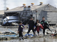 cutremur Japonia 13.03.2011