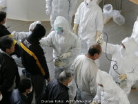 Nivelul radiatiilor de 1.600 de ori peste limita normala, in zona Fukushima