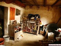 Fotografiile care au socat un continent. Povestea omului care de 21 de ani sta incuiat intr-o cusca