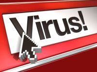 virus