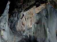 Lilieci mofturosi. Iluminatul in Ghetarul Scarisoara s-a schimbat pentru a-i proteja