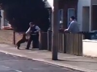 politisti atacati de un pitbull
