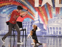 Audiente record la “Romanii au talent”, cea mai vizionata emisiune de divertisment din tara