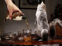 Cele mai ciudate si scumpe lucruri din lume. GALERIE FOTO