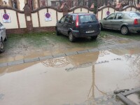 parcare ecologica inundata