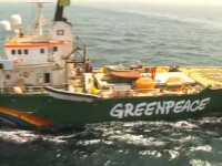nava Arctic Sunrise, Greenpeace