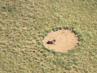 cercuri in lan, Namibia 4