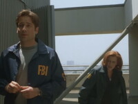 x files