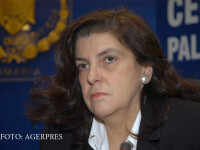 Anca Petrescu, deputat PRM