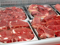 ANSVSA va demara luni un Plan National de control pentru depistarea E-coli in carne si lapte