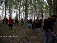 migranti intrand in Ungaria prin padure