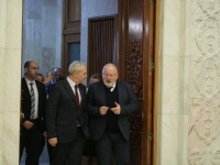 Frans Timmermans, Liviu Dragnea