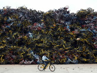 Biciclete abandonate China