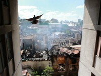 Un porumbel zboară peste un cartier mistuit de flăcări, în orașul filipinez Quezon