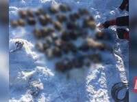 Sac cu 54 de mâini tăiate, găsit într-un râu din Siberia