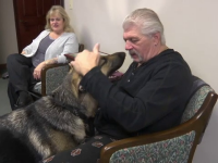 Un bărbat care a avut un accident vascular, salvat de la moarte de propriul câine