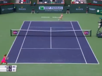 Punctul spectaculos reușit de Simona Halep în meciul cu Petra Martici