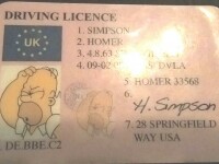 Un șofer le-a arătat polițiștilor un permis auto cu poza lui Homer Simpson