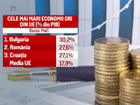 Economia gri a Romaniei