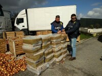 Români arestați în Italia. Poliția a descoperit droguri de 1 mil. € ascunse în camionul cu ceapă