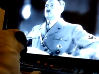 Un bărbat riscă să ajungă după gratii, după ce și-a învățat câinele să facă salutul nazist