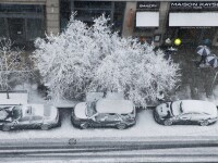Sediile instituțiilor publice din Washington D.C, închise din cauza ninsorilor abundente