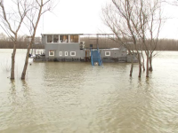 Alertă pe Dunăre. Autorităţile fluviale sunt pregătite de cote de inundaţie