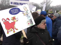 Protest veterinari