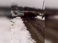 SUV împotmolit în noroi în Buzău. Autoritățile se plâng că nu au fonduri pentru asfaltare