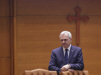 Liviu Dragnea, Parlament