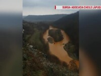 Îngrijorare printre localnici, după ce apele râului Lăpuș au devenit roșiatice