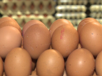 Consiliul Concurenţei verifică prețurile ouălor. Cei care le-au umflat nejustificat riscă amenzi