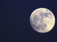 luna albastră