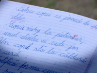 Învățătorul care a corectat greșit un elev și-a recunoscut vina. Ce sancțiune a primit