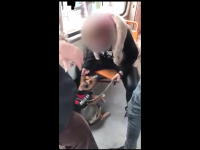 VIDEO șocant. O femeie bate un câine într-un tramvai. Poliția Animalelor s-a sesizat