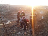 Au ieșit la plimbare cu câinele, dar au ajuns să fie în pericol. Pățania unor fete din Tulcea