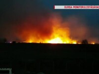 Incendiu puternic la marginea orașului Făgăraș. Localnicii s-au temut că va ajunge la case