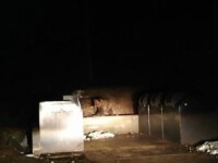 Pui de urs, blocat într-un tomberon, la Băile Tușnad