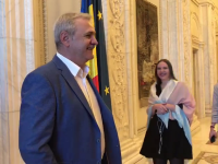 Liviu Dragnea la CEX al PSD