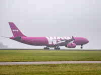 wow air, faliment, companie,