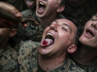 Pușcașii marini americani, somați să nu mai mănânce scorponi și sânge de cobra, în junglă