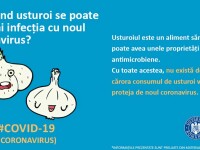 Ce spune MAI despre usturoi și coronavirus. Clarificări despre „rețetele miraculoase” care circulă pe internet
