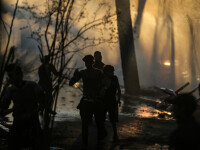 UE oferă câte 2.000 de euro migranților din Grecia să se întoarcă acasă