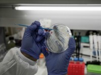 „Pacientul 1“ din Torino declarat vindecat a fost reconfirmat pozitiv la coronavirus