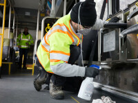 Teleorman are un singur angajat care se ocupă de decontaminare în tot județul. DSP: ”Sunt județe unde nu există niciunul”