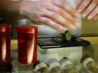 Americanii fac cozi la magazinele de marijuana: ”După ce stocurile de hârtie igienică s-au epuizat, au nevoie să se relaxeze”