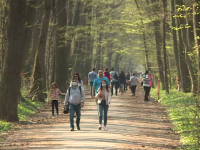 În plină epidemie de Covid-19, românii au ieșit la iarbă verde și au umplut piețele