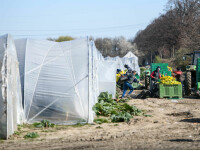 Analiză Frames: ,,Lunea neagră’’ în economie. Intrăm în a doua etapă a coronacrizei economice