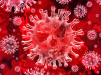 Pacienții vindecați de coronavirus elimină virusul încă o lună. Explicația unui expert